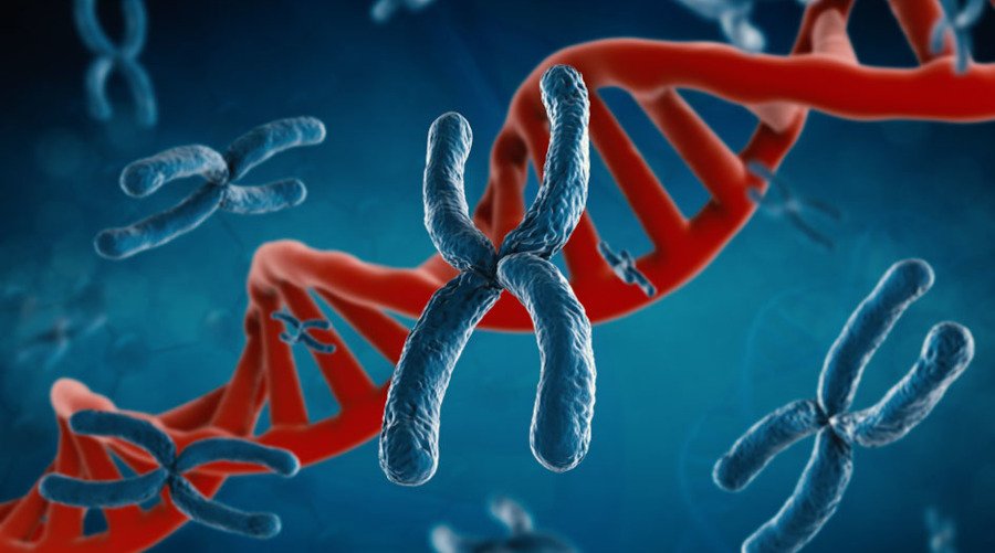 Genes candidatos relacionados à mediunidade espiritual
