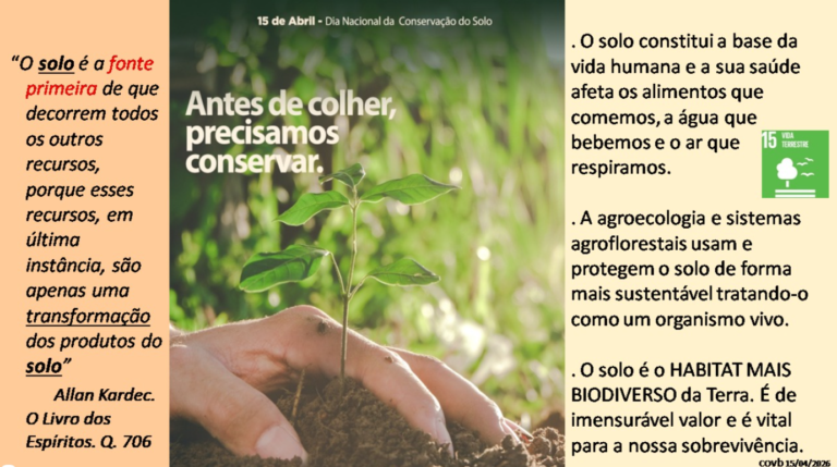 Conservação do solo