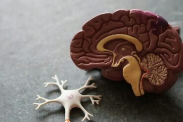 Neurologia popular