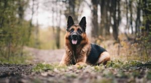 A história de Jacó