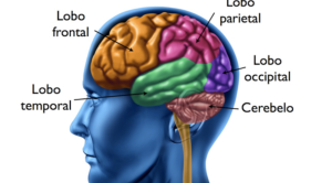 Experiências Transcendentes