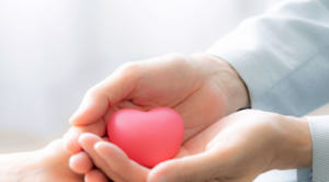 Será provido com tudo o que precisar