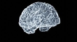 Existe o “fantasma da máquina” ?